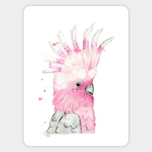 Oh You Galah! Sticker